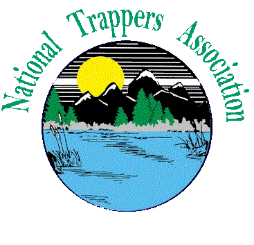 NTA Logo